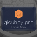 qiduhoy.pro